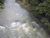 Photo Number 9